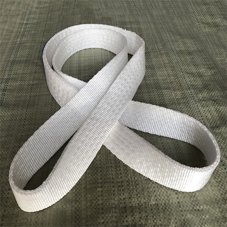 Double Ply Endless Webbing Sling
