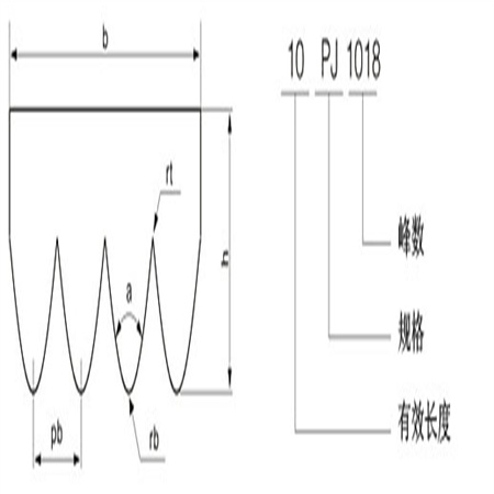 PJ型多楔带,PJ型多沟带,PJ型多槽带,PJ型多契带