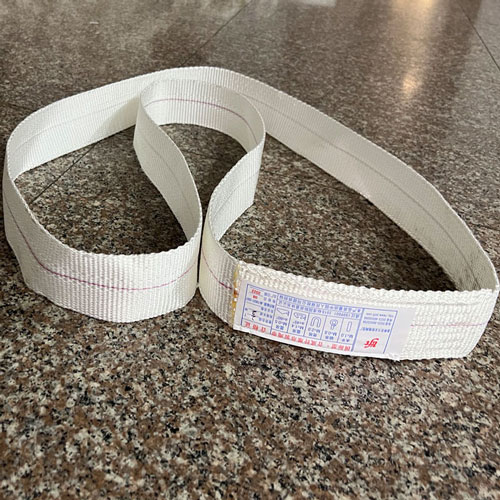 Disposable endless webbing sling