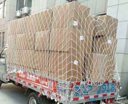 Safety Container Protection Cargo Cover Netting