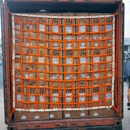 Container Cargo Net